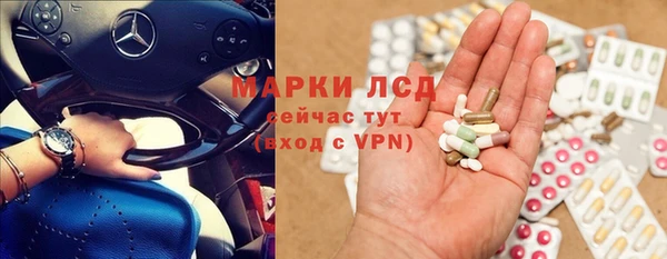 прущий лед Вяземский