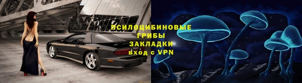 шишки Вязьма