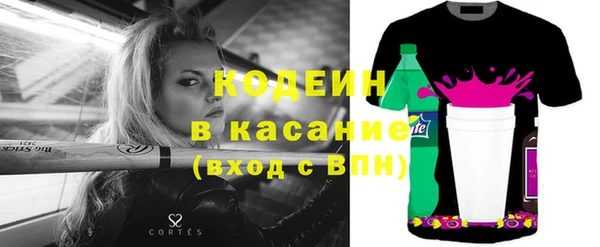 прущий лед Вяземский