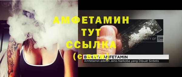 прущий лед Вяземский