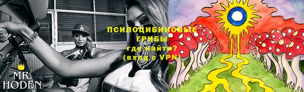 шишки Вязьма